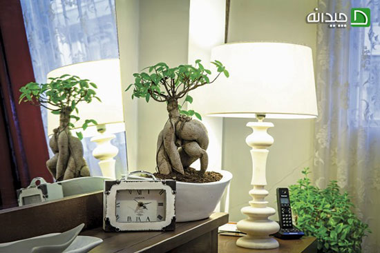 دکوراسیون آپارتمان ایرانی، خلاقیت در خانه اجاره ای فهیمه! دکوراسیون آپارتمان ایرانی، خلاقیت در خانه اجاره ای فهیمه!